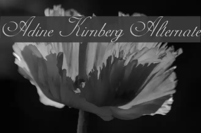 Adine Kirnberg Alternate Font examples