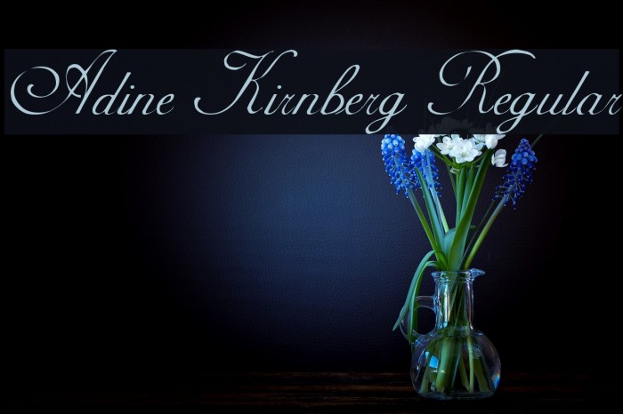 Adine Kirnberg Regular Font examples