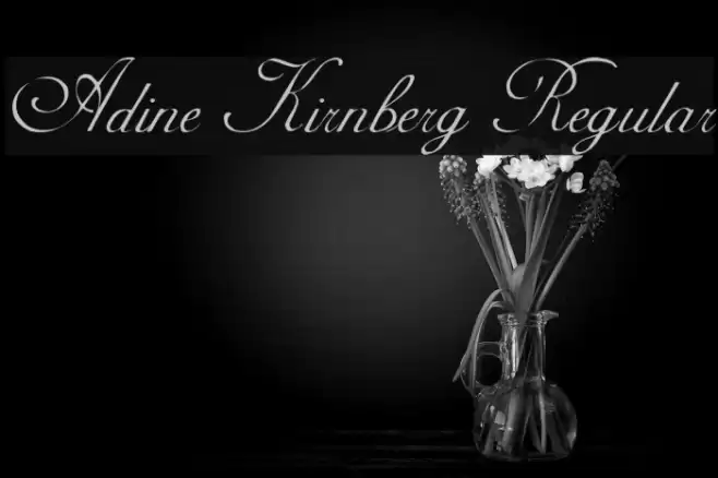 Adine Kirnberg Regular Font examples