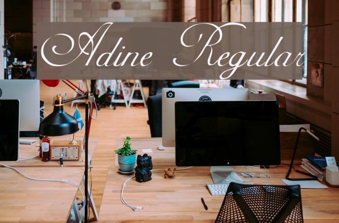 Adine Regular Font examples