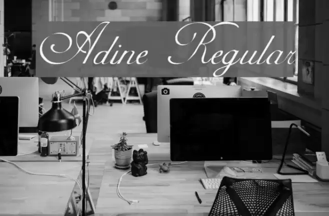 Adine Regular Fuentes examples