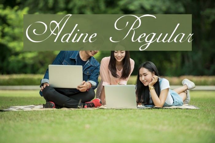 Adine Regular Font examples