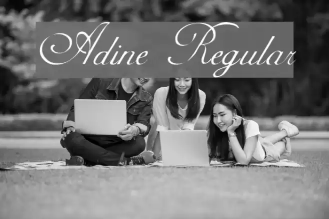 Adine Regular Fuentes examples