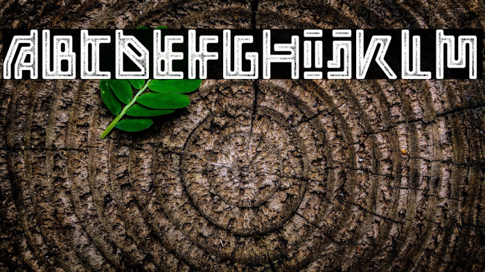 Adine grunge Example 1