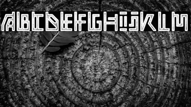 Adine grunge Caratteri examples