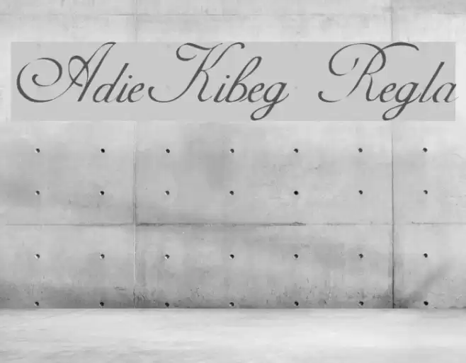 AdineKirnberg Regular フォント examples