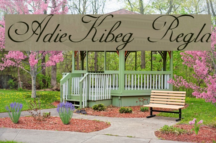 AdineKirnberg Regular Font examples