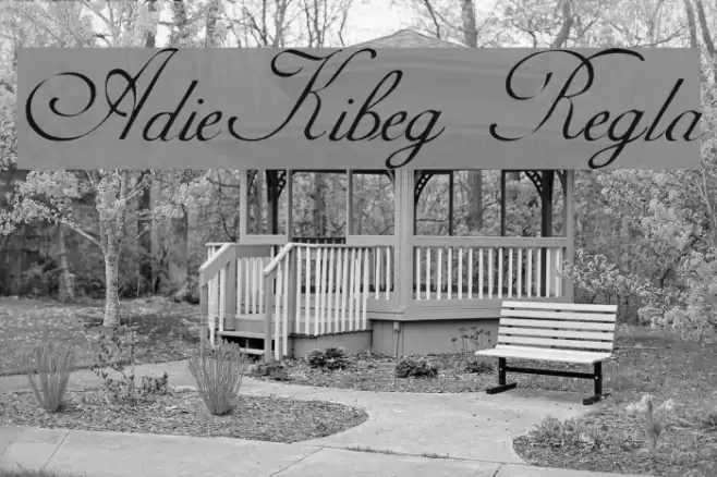 AdineKirnberg Regular フォント examples