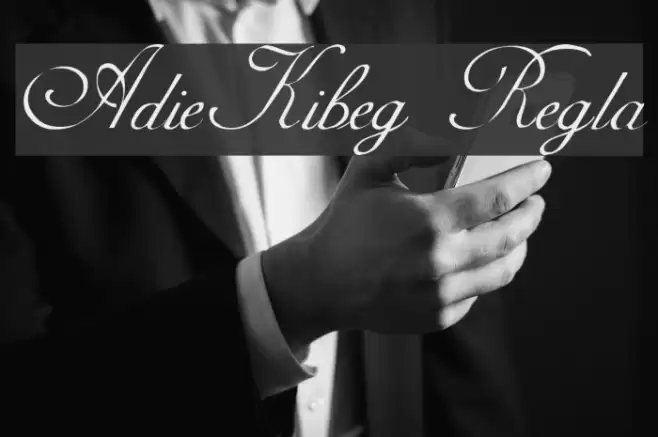 AdineKirnberg Regular フォント examples