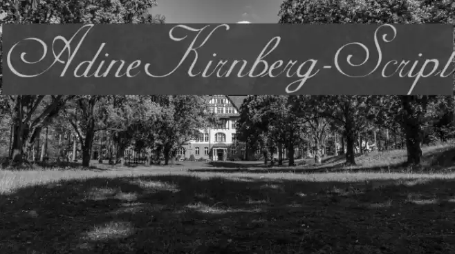 AdineKirnberg-Script Font examples