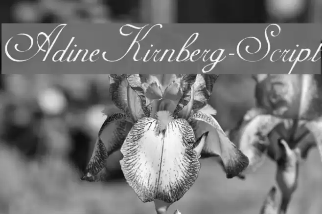 AdineKirnberg-Script Font examples
