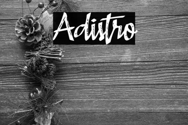 Adistro Font examples