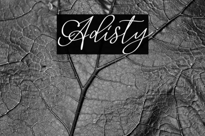 Adisty Font examples