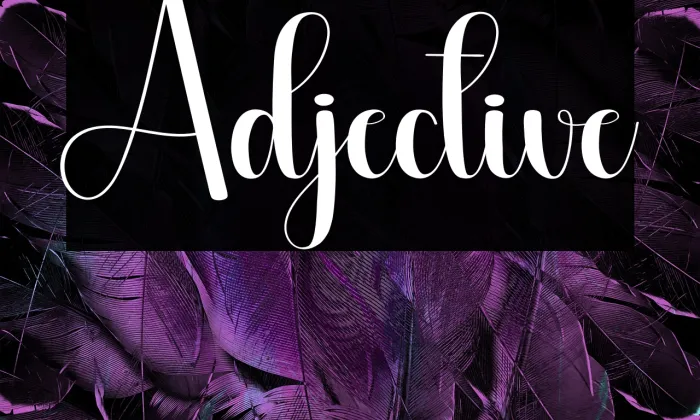 Adjective Example 1