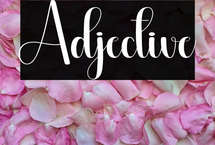 Adjective Example 2