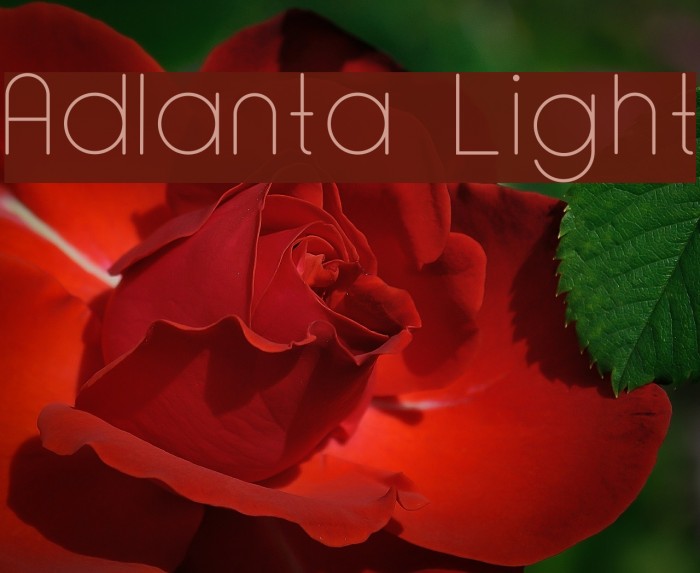 Adlanta Light Font examples