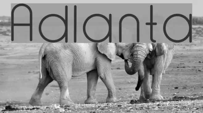 Adlanta Font examples