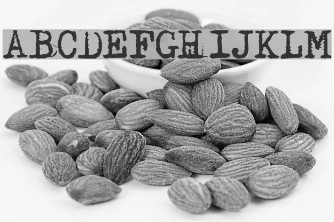 Adler Шрифта examples