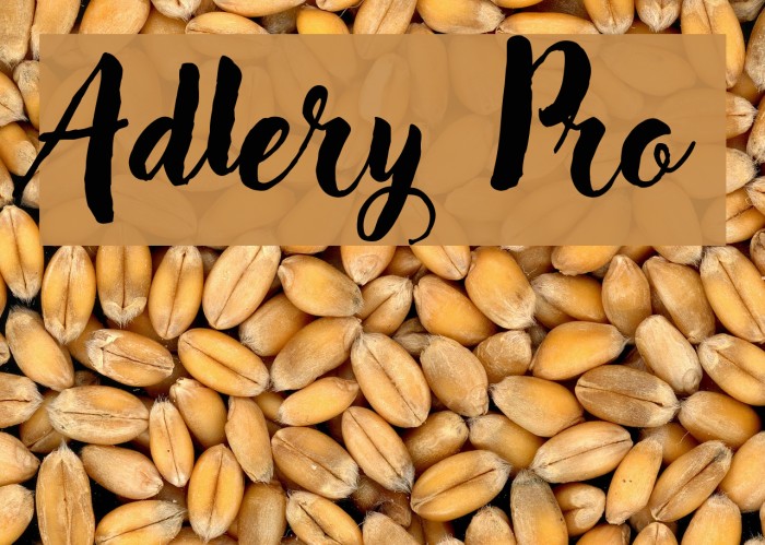 Adlery Pro フォント examples