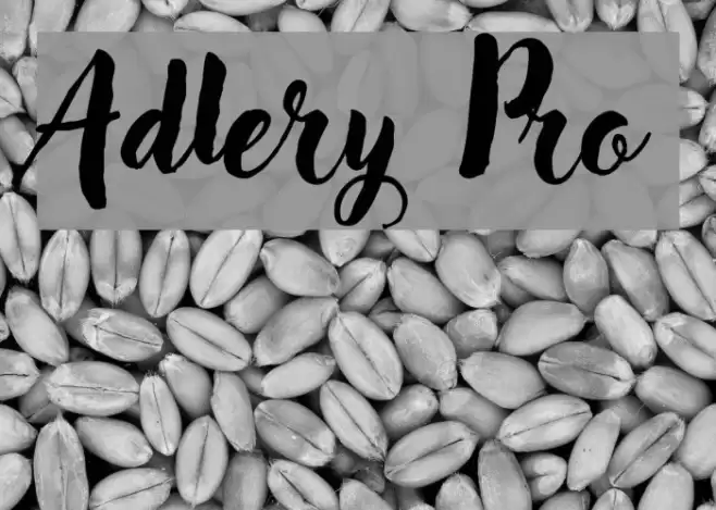 Adlery Pro フォント examples