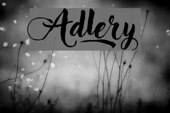 Adlery Font examples