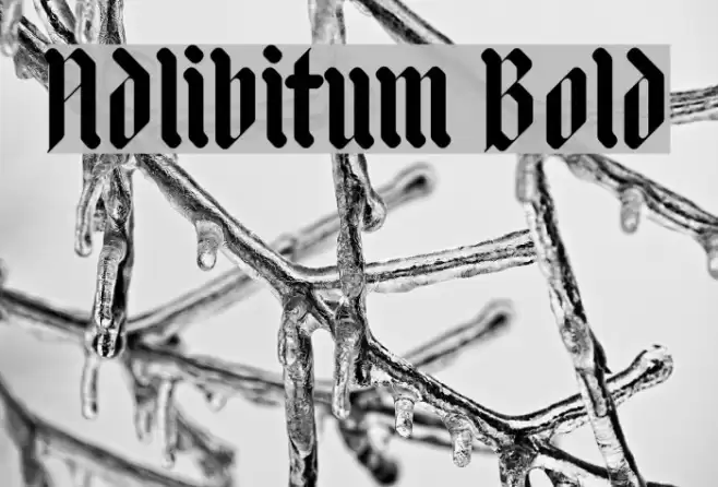 Adlibitum Bold フォント examples