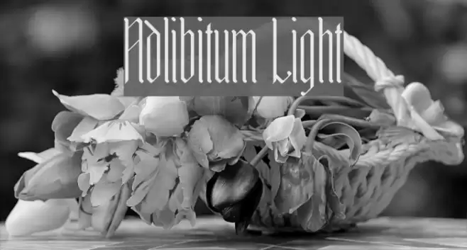 Adlibitum Light Fonte examples