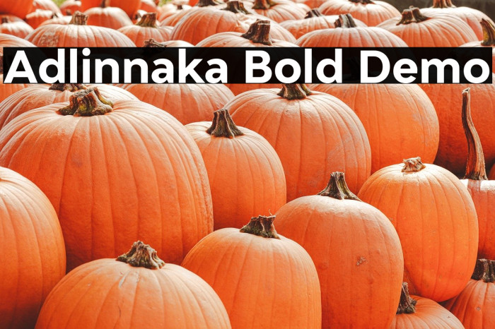Adlinnaka Bold Demo Example 3