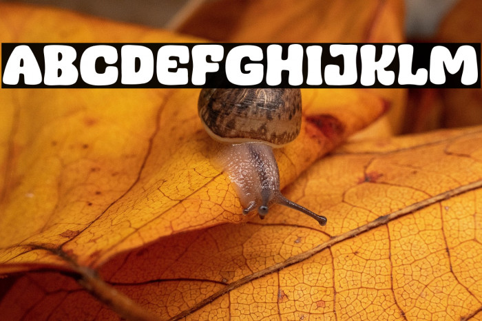 Admin Mocca Example 2