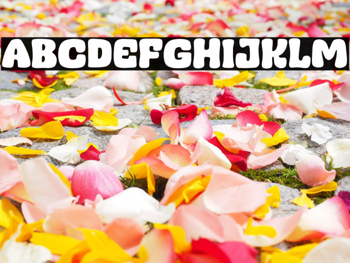 Admin Mocca Example 3