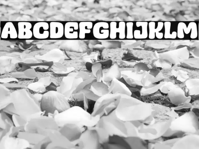 Admin Mocca Schriftart examples