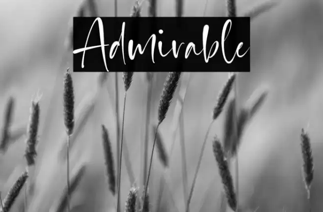 Admirable Font examples