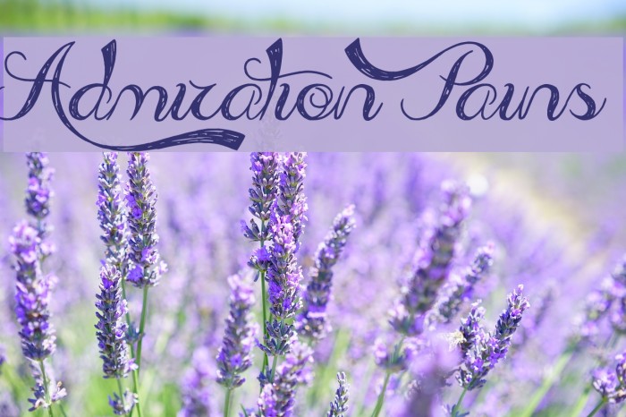Admiration Pains Font examples