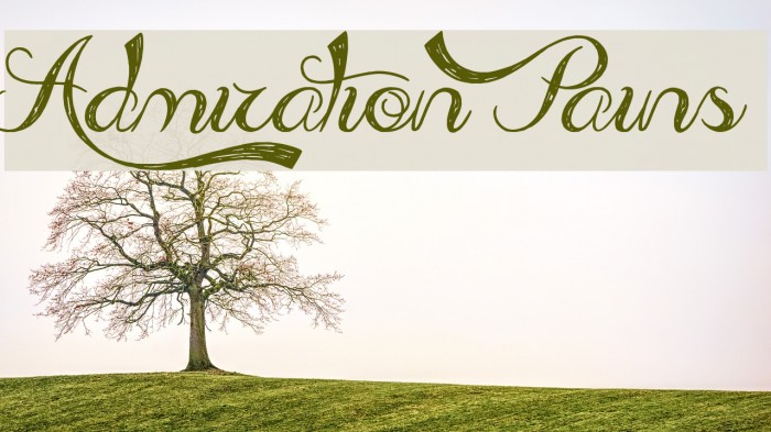 Admiration Pains Font examples