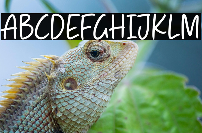 Admire Gustavo Example 3