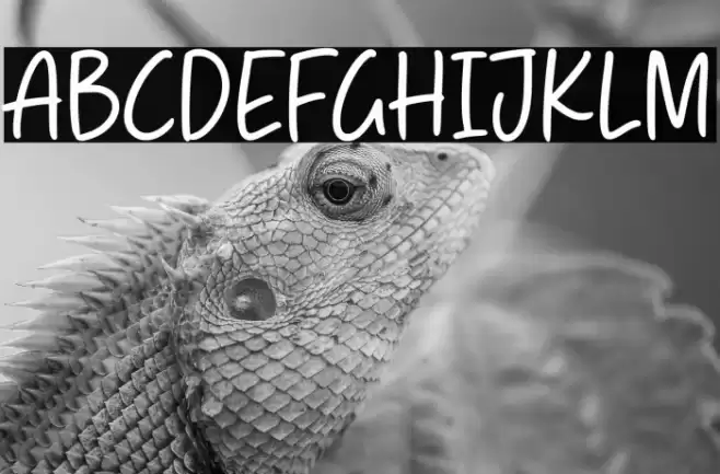 Admire Gustavo خط examples