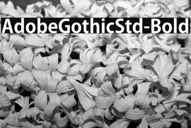 AdobeGothicStd-Bold フォント examples