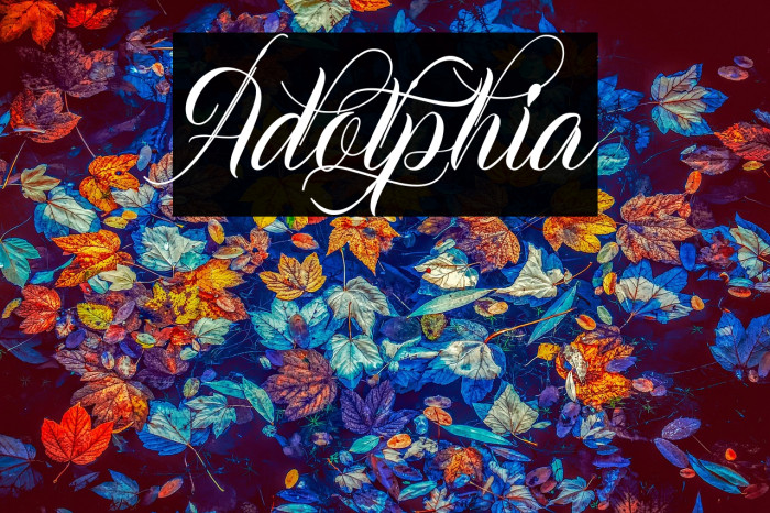 Adolphia Example 3