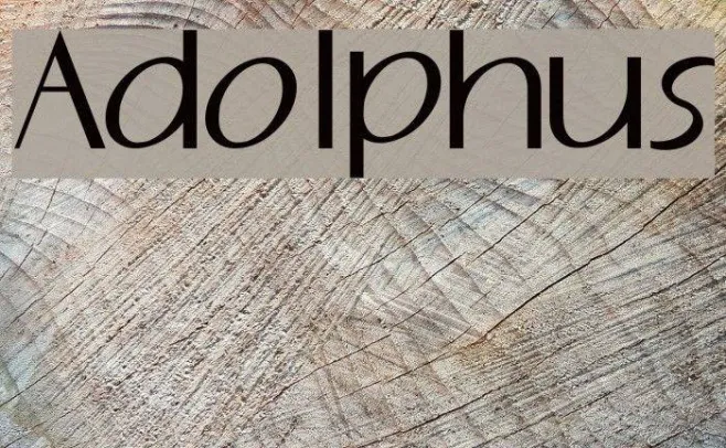 Adolphus Example 1