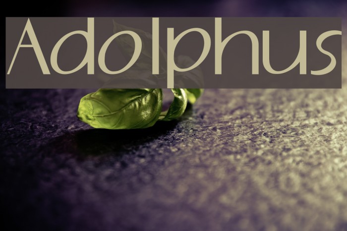 Adolphus Font examples
