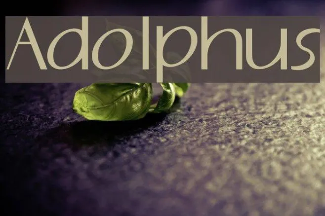Adolphus Example 2