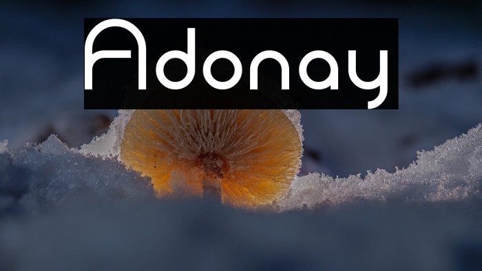 Adonay Example 1