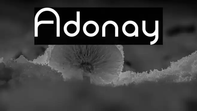 Adonay フォント examples