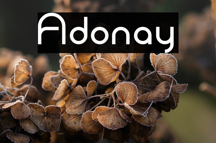 Adonay Example 2