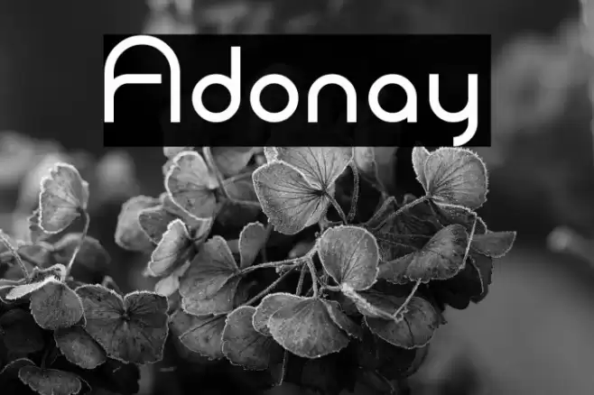Adonay フォント examples
