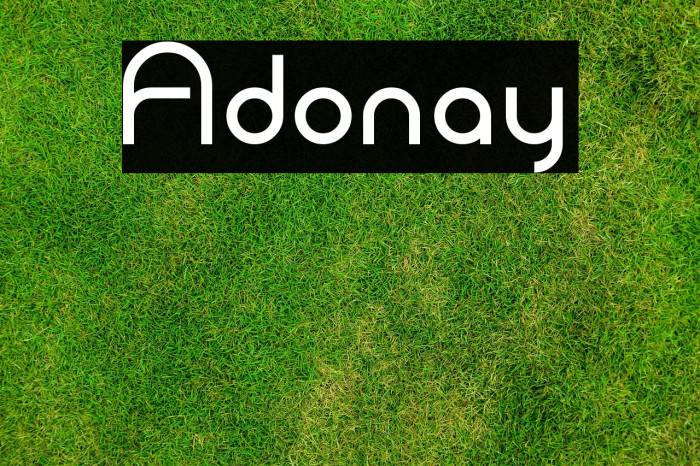 Adonay Example 3