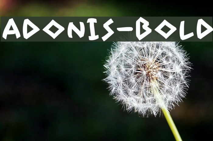Adonis-Bold Example 2