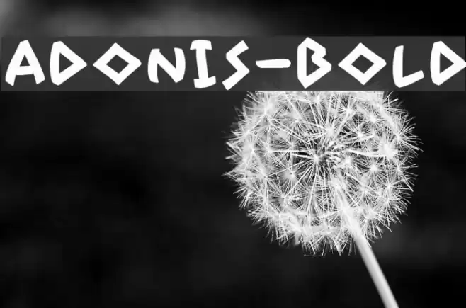 Adonis-Bold Font examples