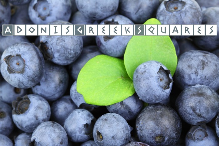 AdonisGreekSquares Font examples