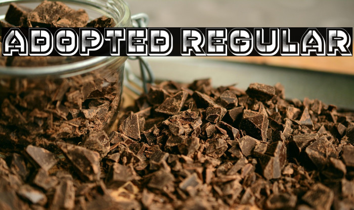 Adopted Regular Example 2